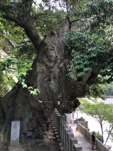 楽法寺（雨引観音）の庭園