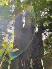 磐椅神社(福島県)