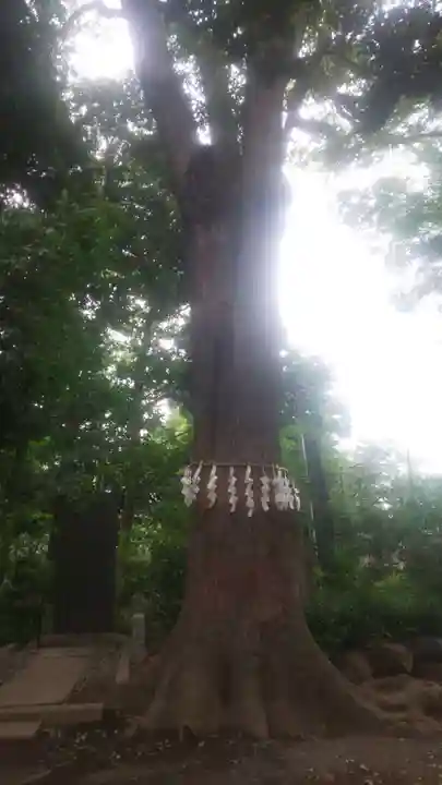 代々木八幡宮(東京都)