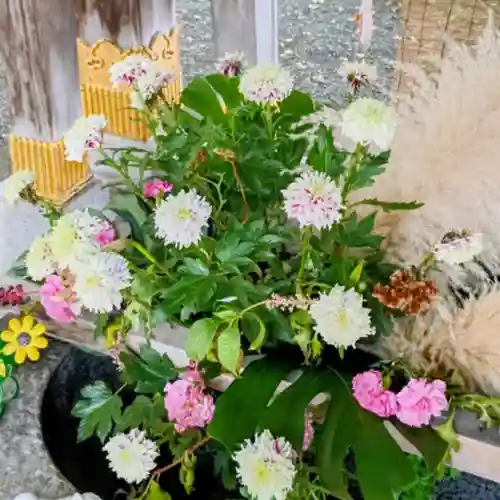 彌彦神社　(伊夜日子神社)(北海道)