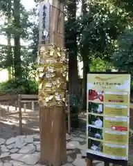 下野 星宮神社の建物その他