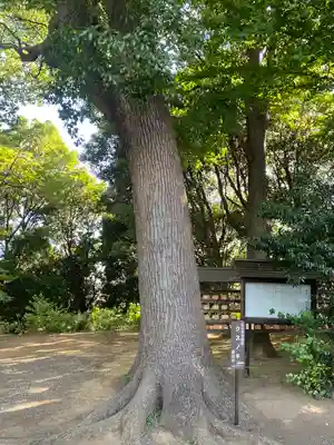 篠原八幡神社(神奈川県)