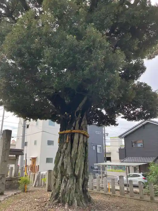 外山神社(愛知県)