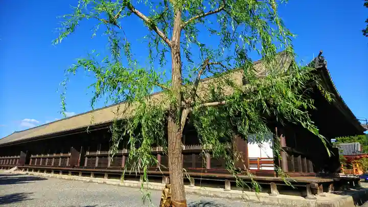 蓮華王院(三十三間堂)(京都府)