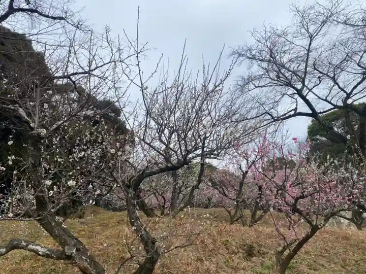岩津天満宮(愛知県)