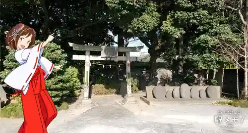 奥戸天祖神社の鳥居