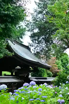妙楽寺(神奈川県)