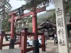 白鬚神社の鳥居