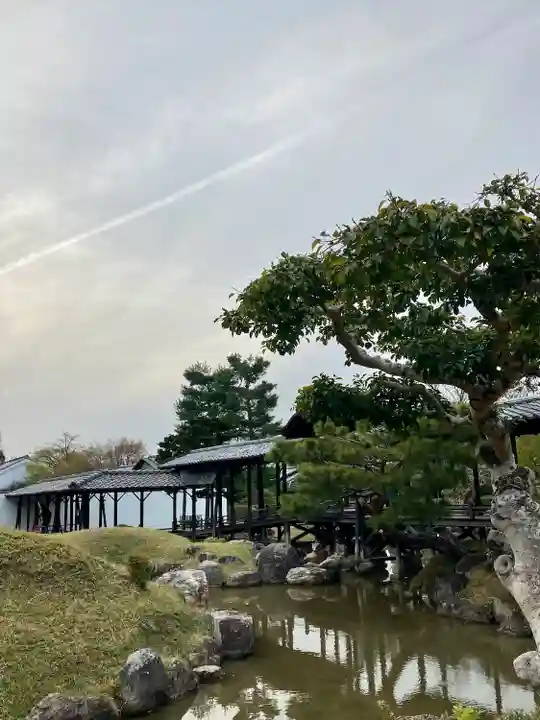 高台寺(高台寿聖禅寺・高臺寺)の庭園