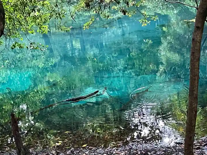 丸池神社(山形県)