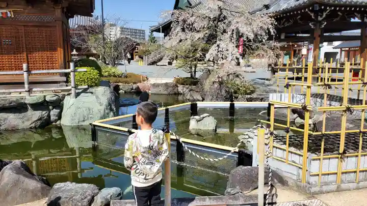総持寺(大阪府)