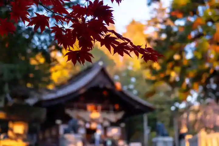 諏訪大社下社秋宮(長野県)