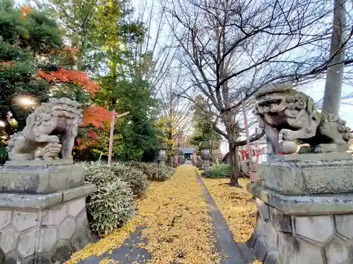 神炊館神社 ⁂奥州須賀川総鎮守⁂の狛犬