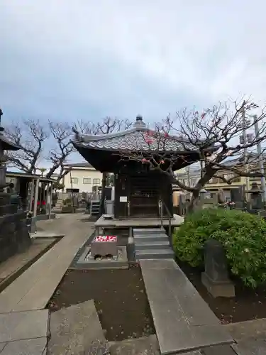 観音寺の{uncategorized: "未分類", other: "その他", undefined: "問題あり", building: "その他建物", grave: "お墓", sacred_gate: "鳥居", guardian: "狛犬", statue: "像", buddha: "仏像", history: "歴史", nature: "自然", garden: "庭園", animal: "動物", pagoda: "塔", temizu: "手水舎", mountain_gate: "山門・神門", sanctuary: "本殿・本堂", subordinate: "末社・摂社", art: "芸術", scenery: "景色", jizo: "地蔵", ema: "絵馬", goshuin: "御朱印", omikuji: "おみくじ", items: "授与品その他", amulet: "お守り", goshuincho: "御朱印帳", eats: "食事", festival: "お祭り", votive_dance: "神楽", shichigosan: "七五三参", wedding: "結婚式", experience: "体験その他", initially: "初詣", around: "周辺", anti_infection: "感染症対策"}