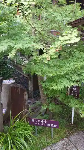 行田八幡神社の庭園