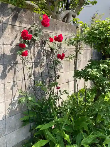 九品寺(神奈川県)