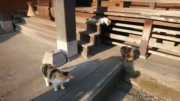 西宮恵比寿神社(静岡県)
