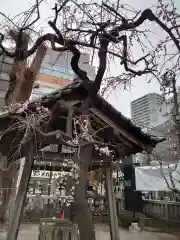 柏神社の自然