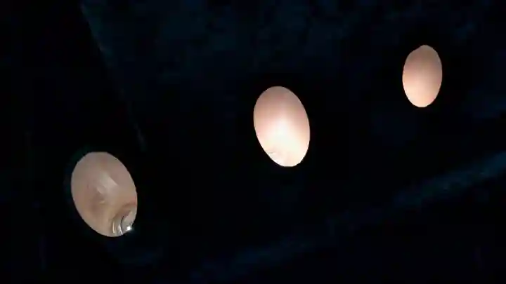 龍口寺のお祭り