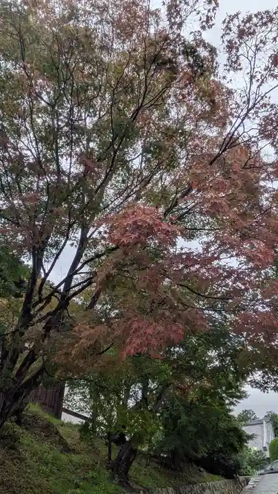 くろ谷 金戒光明寺(京都府)