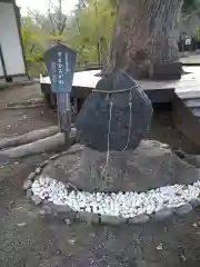 平野神社(京都府)