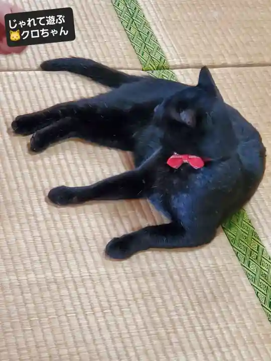 高司神社〜むすびの神の鎮まる社〜(福島県)