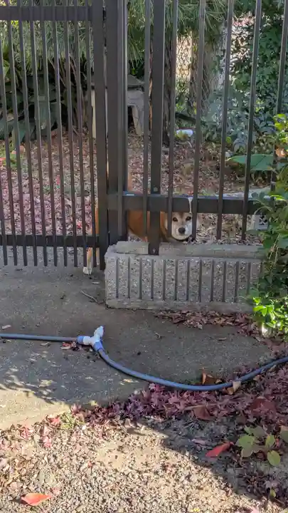 西福寺(大阪府)