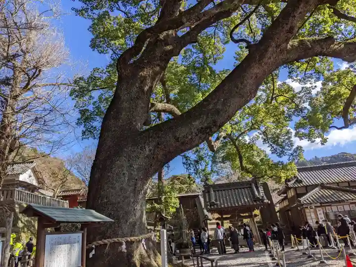 事任八幡宮の自然