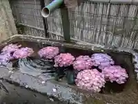 駒込妙義神社(東京都)