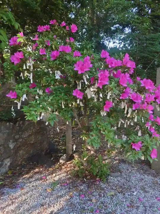 久保稲荷神社(埼玉県)