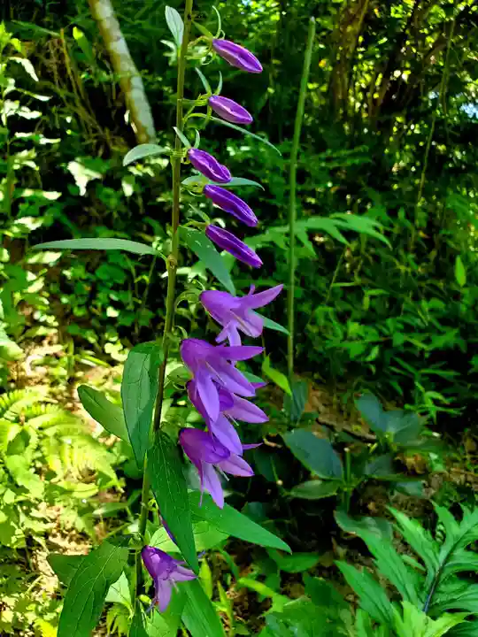 石都々古和気神社(福島県)