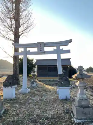 赤城神社の鳥居