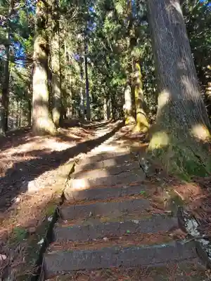 栗生神社の自然