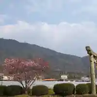 春日神社の自然