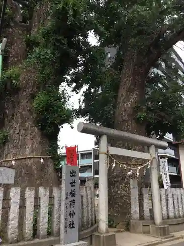 出世稲荷神社の鳥居