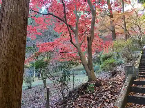 秩父御嶽神社(埼玉県)