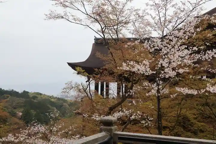 清水寺(京都府)