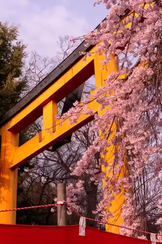平野神社(京都府)