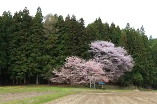 赤津稲荷神社の景色