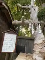 三田天満宮の自然