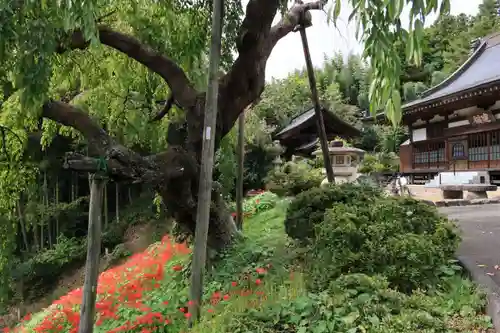 建福寺の景色