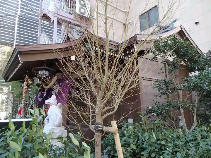 茶ノ木神社の本殿・本堂