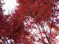 来迎寺(山口県)