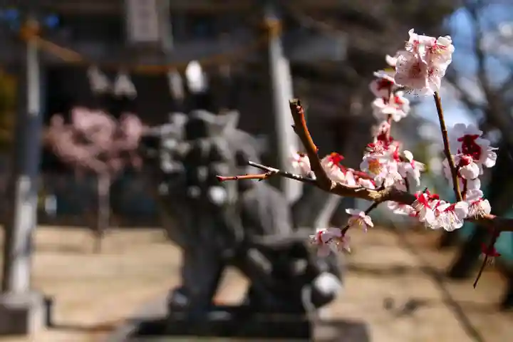 浅間神社(埼玉県)