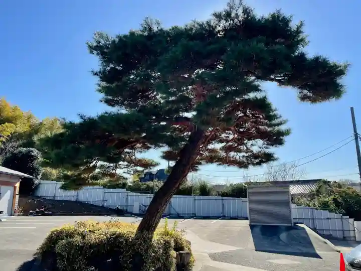 西勝寺の{uncategorized: "未分類", other: "その他", undefined: "問題あり", building: "その他建物", grave: "お墓", sacred_gate: "鳥居", guardian: "狛犬", statue: "像", buddha: "仏像", history: "歴史", nature: "自然", garden: "庭園", animal: "動物", pagoda: "塔", temizu: "手水舎", mountain_gate: "山門・神門", sanctuary: "本殿・本堂", subordinate: "末社・摂社", art: "芸術", scenery: "景色", jizo: "地蔵", ema: "絵馬", goshuin: "御朱印", omikuji: "おみくじ", items: "授与品その他", amulet: "お守り", goshuincho: "御朱印帳", eats: "食事", festival: "お祭り", votive_dance: "神楽", shichigosan: "七五三参", wedding: "結婚式", experience: "体験その他", initially: "初詣", around: "周辺", anti_infection: "感染症対策"}