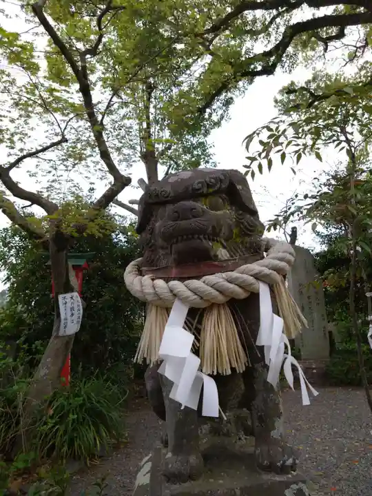 疋野神社(熊本県)