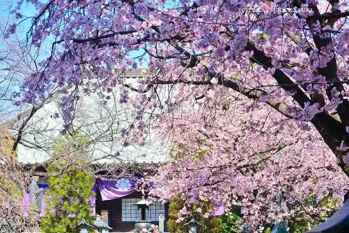 密藏院(埼玉県)
