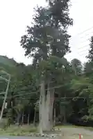 室生龍穴神社の自然