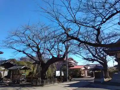大松寺(神奈川県)