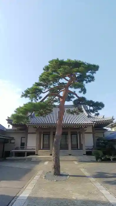 法専寺の本殿